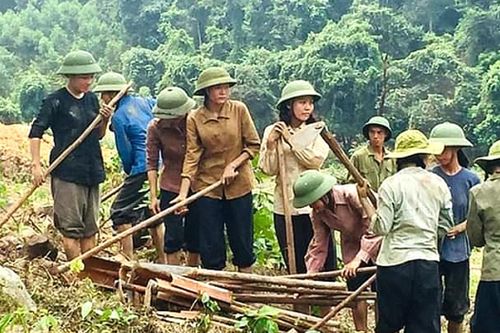 16 phim Việt tranh giải Bông sen vàng 2019