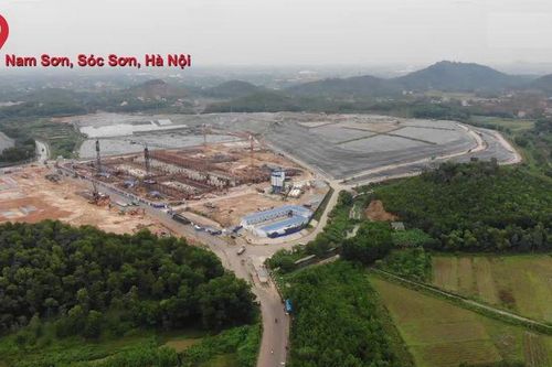 Hàng cây hoa sữa chuyển từ Hồ Tây đến bãi rác Nam Sơn giờ ra sao?