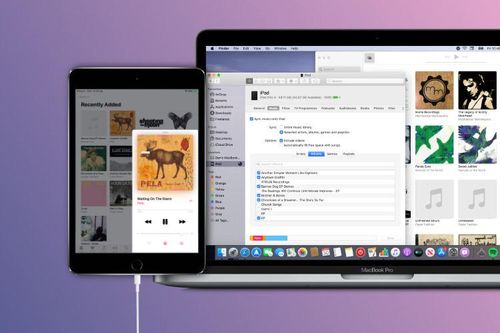 Cách sửa lỗi iPhone không hiển thị trên Finder của macOS Catalina