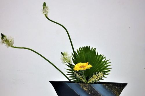 Giao mùa, thưởng lãm Ikebana giữa lòng Hà Nội