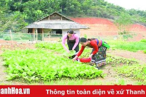Bài 1: Xin thoát nghèo để nhường suất hỗ trợ cho hộ khó khăn hơn