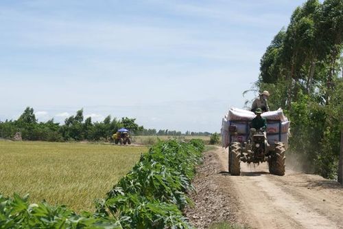 Huyện Hồng Ngự tổ chức lại sản xuất các ngành hàng thế mạnh