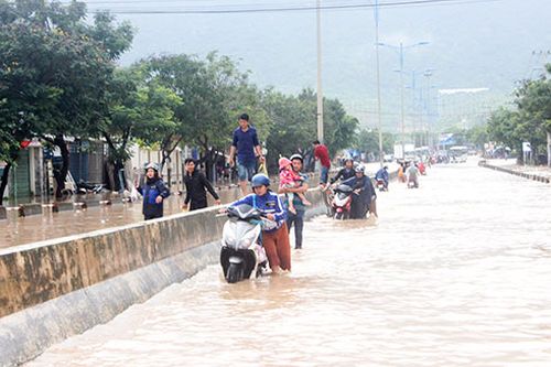 Thực hiện các biện pháp an toàn cho người, vật nuôi, cây trồng trong mùa mưa lũ