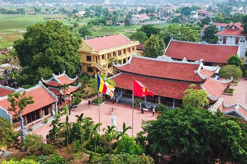 Quảng Ninh: Cây di sản và việc bảo tồn, phát triển du lịch, văn hóa