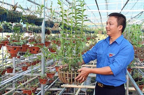 Hải Dương bảo tồn, phát huy giá trị di tích