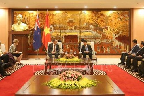 Hợp tác giáo dục song phương với New Zealand