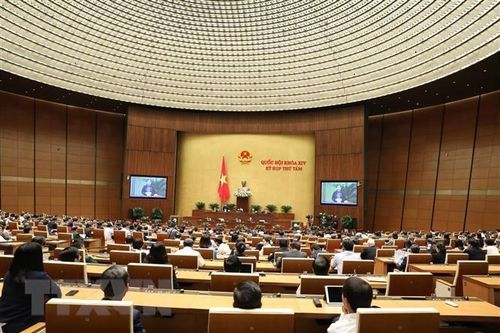 Quốc hội thảo luận về công tác tư pháp, phòng chống tội phạm
