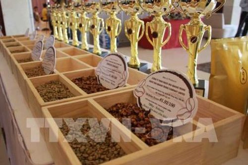 Tầm quan trọng của cơ chế bình ổn giá trên thị trường cà phê quốc tế