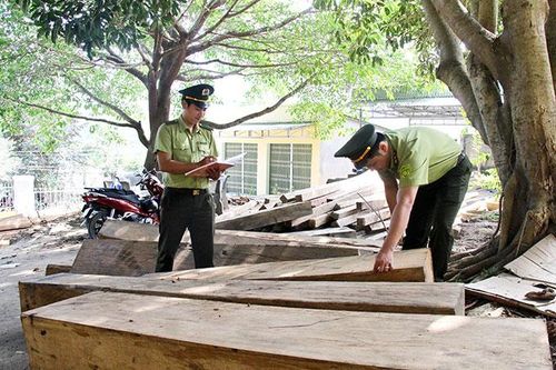 32 vụ vi phạm Luật Lâm nghiệp