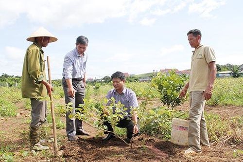 Đẩy mạnh nghiên cứu, chuyển giao công nghệ vùng đồng bào dân tộc thiểu số
