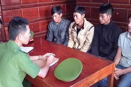 Tạm giam nhóm đối tượng hủy hoại rừng thông phòng hộ cảnh quan Quốc lộ 14
