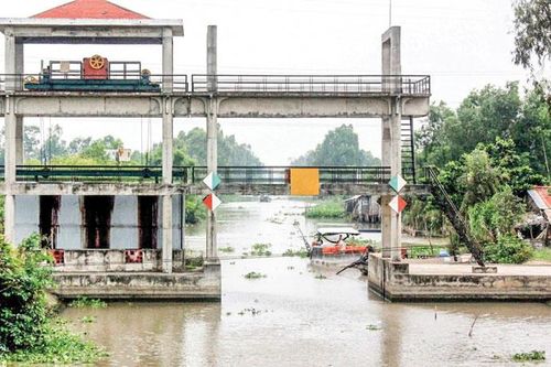 Đồng bằng sông Cửu Long: Lo cả úng ngập lẫn hạn, mặn