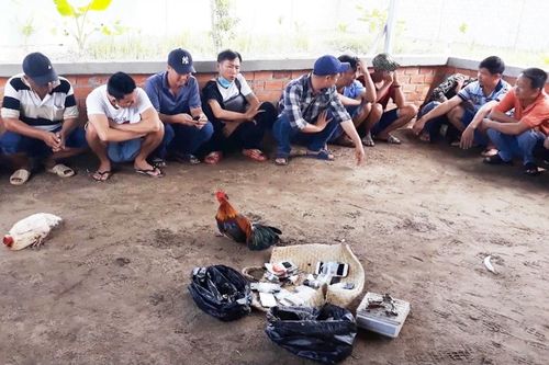 Bắt giữ 21 người đá gà ăn tiền
