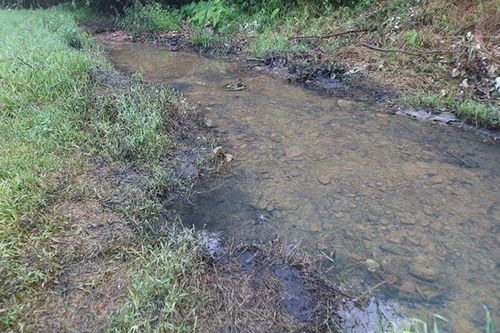 Rà soát tiến trình giám sát và bảo đảm chất lượng nước sạch