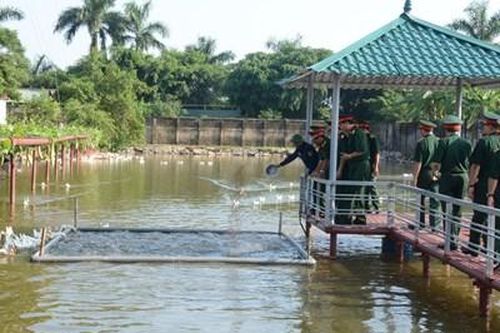 Hiệu quả thiết thực từ một hội thi quân nhu