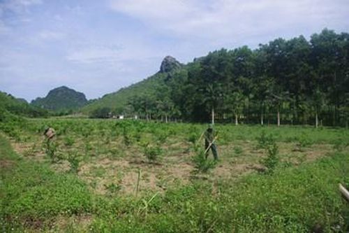 Phát huy nội lực, nâng cao hiệu quả công tác tăng gia sản xuất