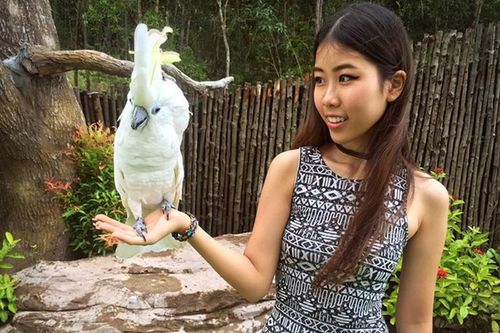 Bệnh ung thư máu cướp đi mạng sống con gái đạo diễn Đỗ Đức Thành nguy hiểm ra sao?