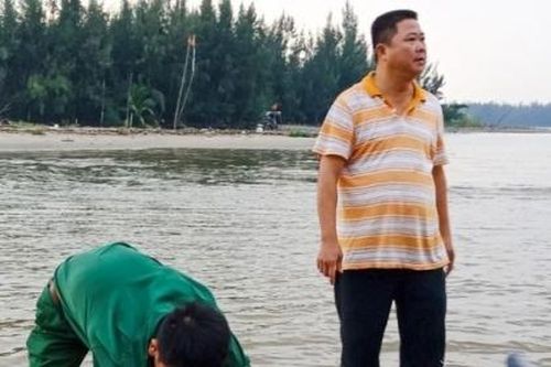 Quảng Nam: Giải cứu cá heo trôi dạt vào bờ biển Cửa Đại
