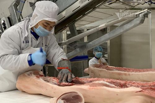 Thịt lợn giá tăng kỷ lục, khuyên dân tìm loại thịt khác để ăn