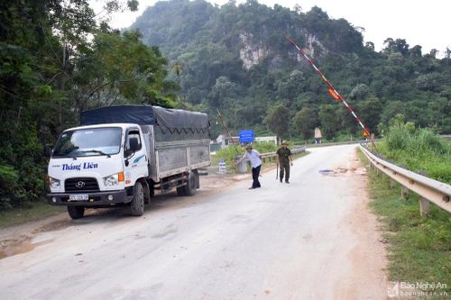 Dịch tả lợn châu Phi đang 'giảm nhiệt'