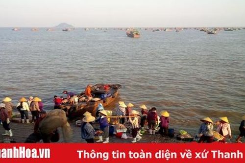 Tăng cường quản lý tàu cá vùng bãi ngang ven biển