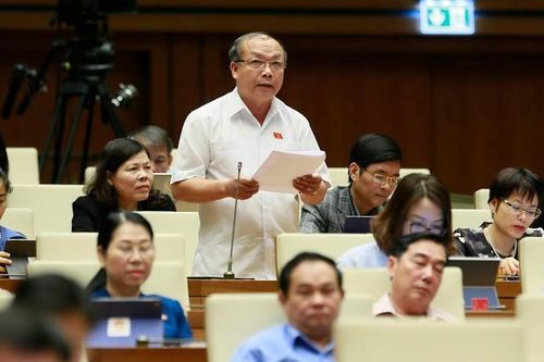 Dân khổ, nhà nước mất cán bộ vì 'con voi chui lọt lỗ kim' trong quản lý đất đai