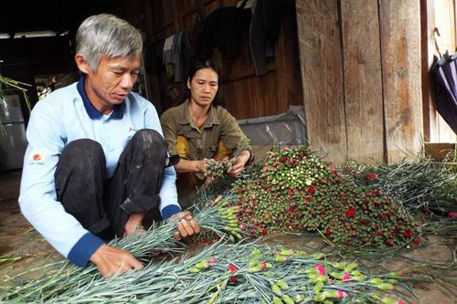Làm giàu bằng ý chí của người lính