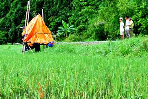 Ninh Hải: Mô hình nuôi trồng xen canh cho giá trị kinh tế cao