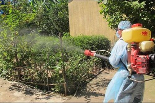 Y tế - Sức khỏe Tin tức y tế Nguy cơ lây lan sốt xuất huyết trên diện rộng