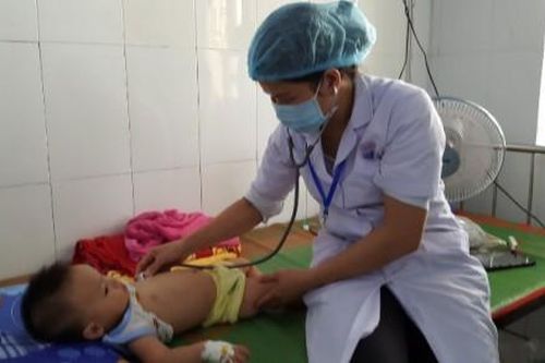 Y tế - Sức khỏe Tin tức y tế Cập nhật trao đổi kinh nghiệm các chuyên đề y khoa về tiêu hóa-thận nhi