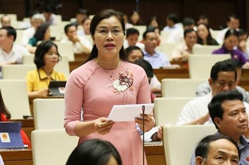 Từ đầu năm 2019 đến nay đã khởi tố trên 300 vụ liên quan đến lĩnh vực môi trường