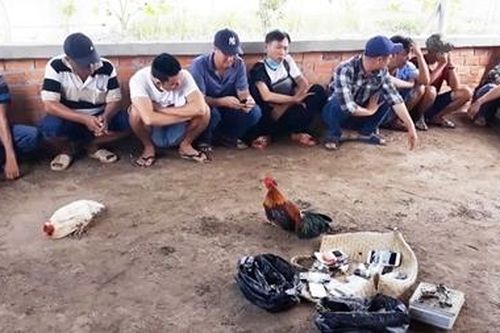 Triệt xóa tụ điểm đá gà phía sau căn biệt thự