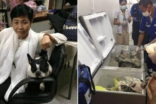 Nghi phạm đổ bê tông thi thể nữ đại gia, giấu vào tủ lạnh bị bắt giữ vì xài tiền như nước