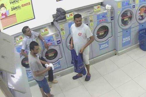 Một người Malaysia đi tù vì nhét mèo mang thai vào máy sấy