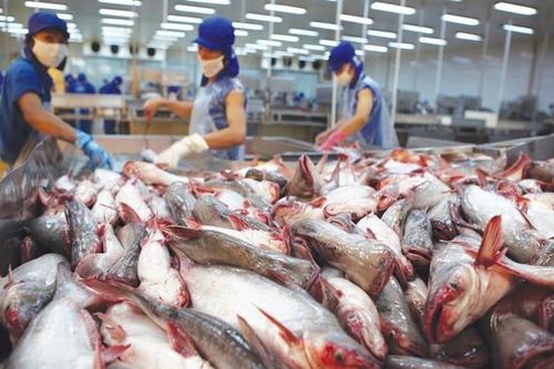 Mỹ công nhận hệ thống an toàn thực phẩm cá da trơn của Việt Nam