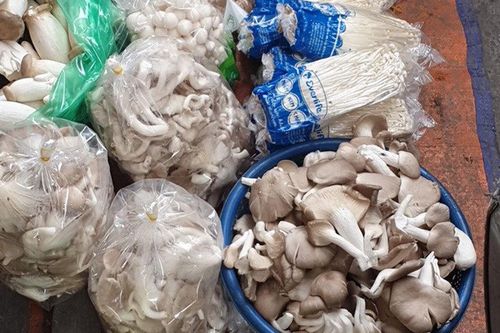 Nấm Trung Quốc tung hoành khắp chợ dân sinh
