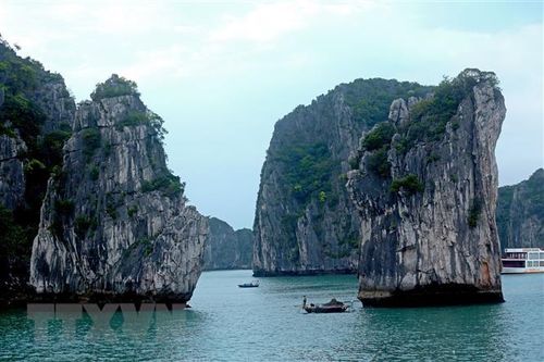Mở rộng dự án tăng trưởng xanh trên toàn tỉnh Quảng Ninh