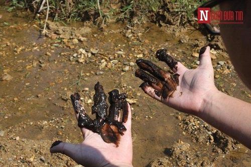 Cận cảnh dòng suối nghi nhiễm dầu do bị Công ty nước sông Đà xả nước súc rửa bể chứa chưa qua xử lý