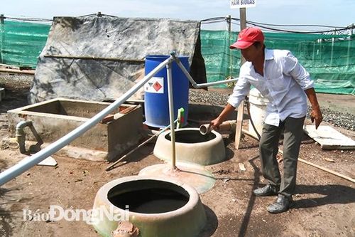 Làm sạch môi trường nuôi tôm bằng quy trình biogas