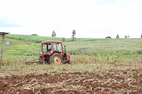 Kbang: Hơn 6.500 ha cây trồng vụ mùa bị thiệt hại do nắng hạn