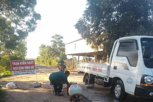 Ia Pa: Công bố hết dịch tả lợn châu Phi tại xã Ia Kdăm