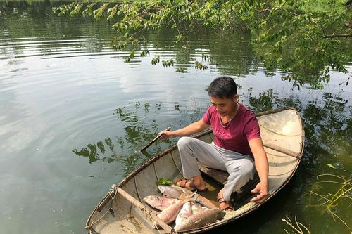 Xử phạt Công ty Hòa Phát hơn 440 triệu đồng vì gây ô nhiễm môi trường