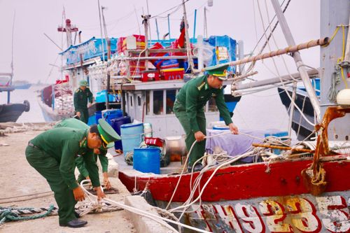 Kinh tế Kinh tế Đến 1h sáng 7/11, chiếc tàu cuối cùng sẽ vào bờ tránh trú bão số 6