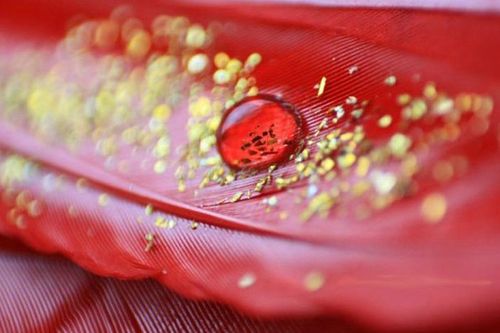 Nhóm máu nào chỉ 43 người có, quý như vàng ròng?