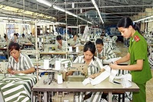 Phạm nhân được dạy nghề trình độ sơ cấp hoặc đào tạo thường xuyên