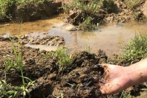 Xử lý sự cố nước sông Đà bị nhiễm bẩn: 'Động tác lạ' của Viwasupco