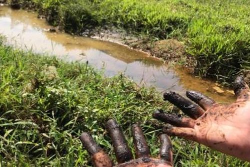 Công ty nước sạch sông Đà xả thải trực tiếp ra môi trường