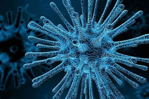 Phát hiện thêm chủng virus HIV mới sau 2 thập kỷ
