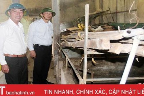 Bổ sung các biện pháp an toàn sinh học, bảo vệ các trang trại trước dịch tả lợn châu Phi