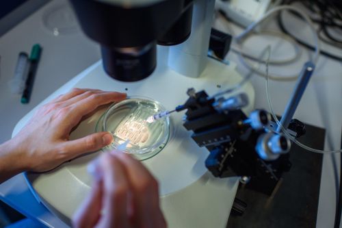 Thử nghiệm công nghệ chỉnh sửa gene trong điều trị ung thư